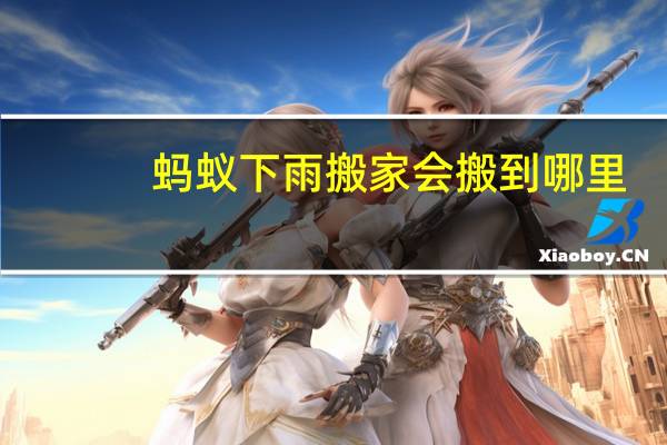 蚂蚁下雨搬家会搬到哪里