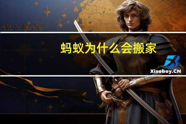 蚂蚁为什么会搬家
