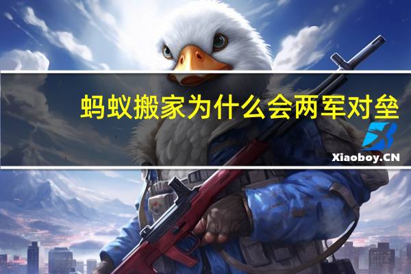 蚂蚁搬家为什么会两军对垒