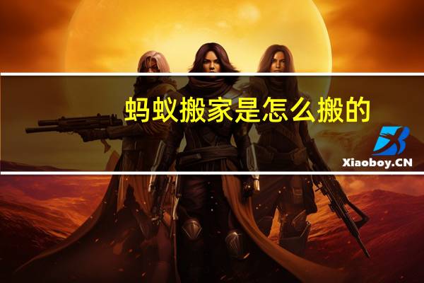 蚂蚁搬家是怎么搬的