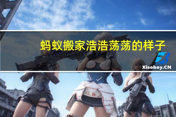 蚂蚁搬家浩浩荡荡的样子