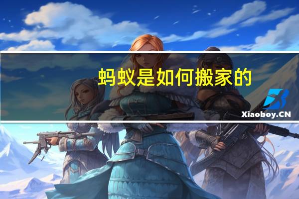 蚂蚁是如何搬家的