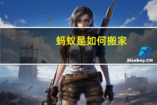 蚂蚁是如何搬家