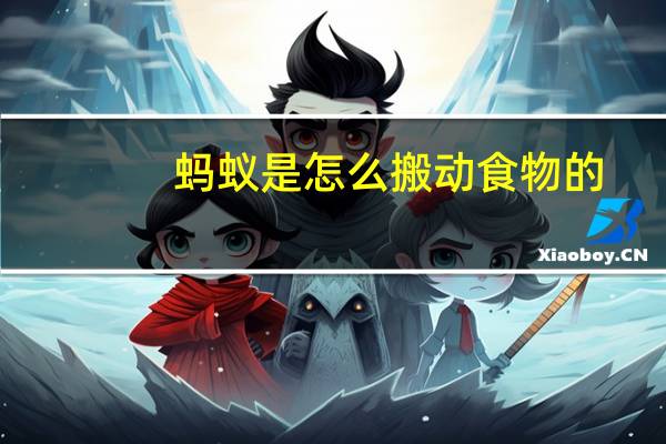 蚂蚁是怎么搬动食物的