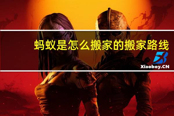 蚂蚁是怎么搬家的搬家路线