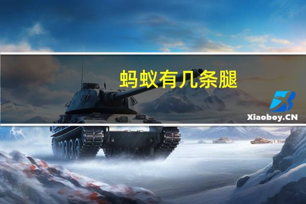 蚂蚁有几条腿