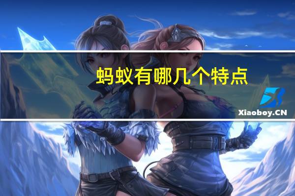 蚂蚁有哪几个特点