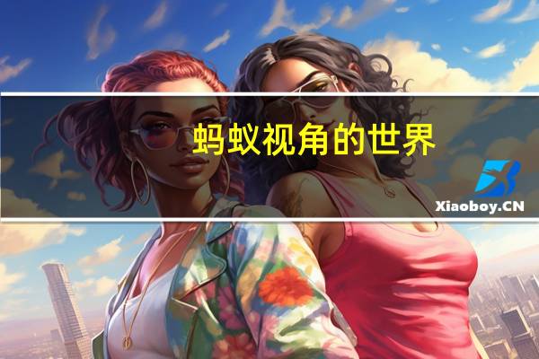 蚂蚁视角的世界