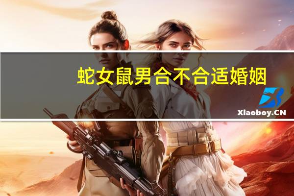 蛇女鼠男合不合适婚姻