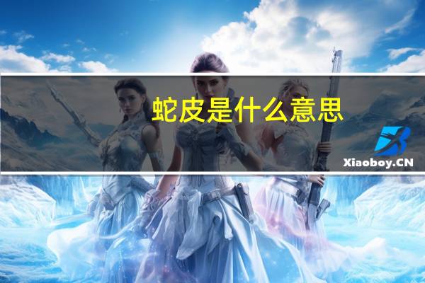 蛇皮是什么意思