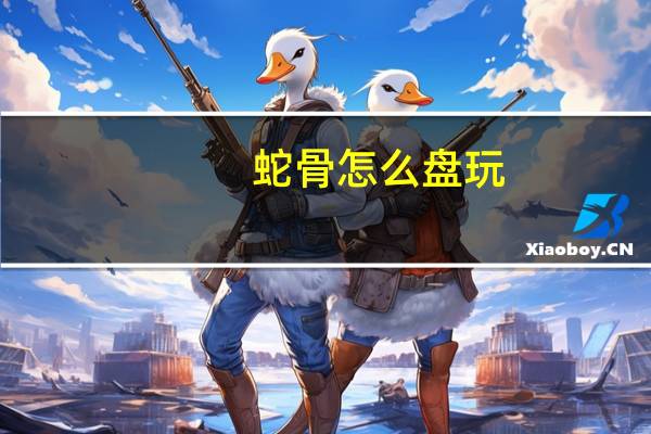 蛇骨怎么盘玩