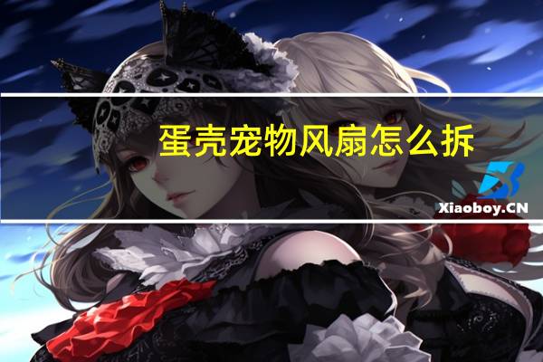 蛋壳宠物风扇怎么拆