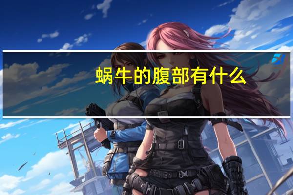 蜗牛的腹部有什么