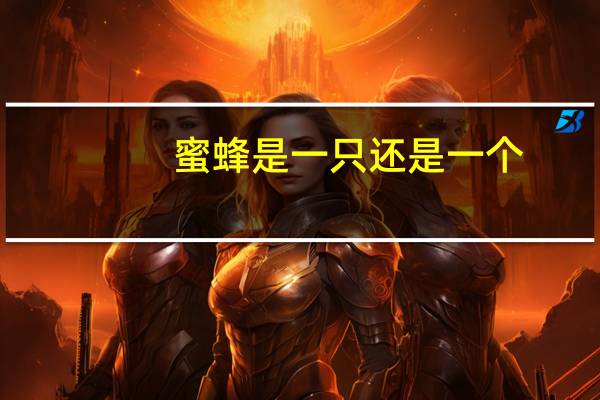 蜜蜂是一只还是一个