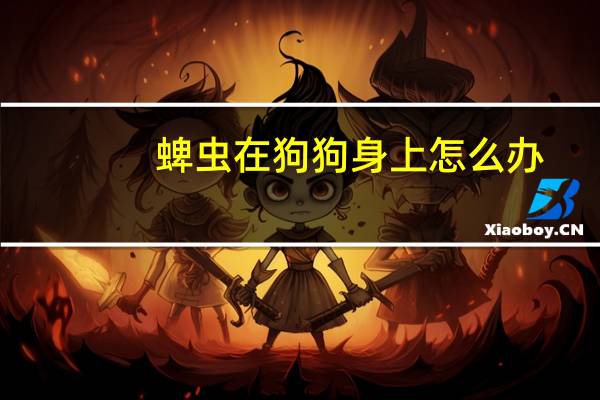 蜱虫在狗狗身上怎么办