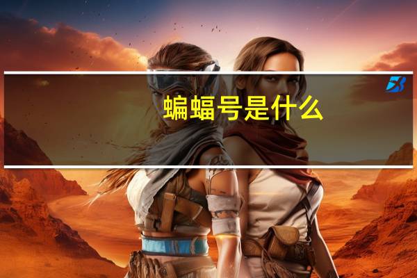 蝙蝠号是什么
