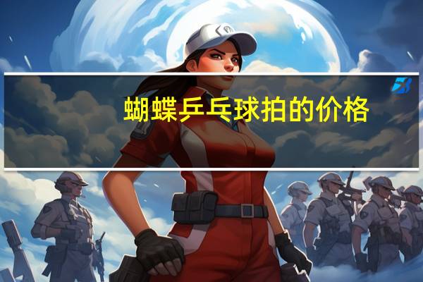 蝴蝶乒乓球拍的价格