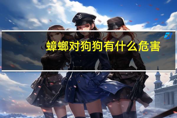 蟑螂对狗狗有什么危害