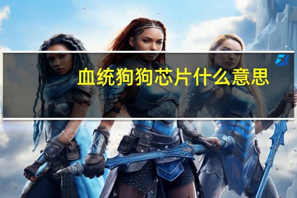血统狗狗芯片什么意思