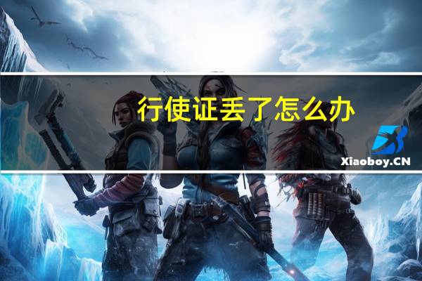 行使证丢了怎么办