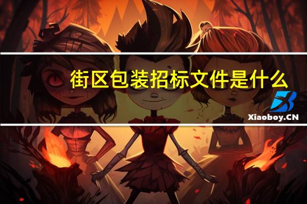 街区包装招标文件是什么