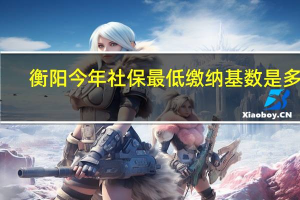 衡阳今年社保最低缴纳基数是多少