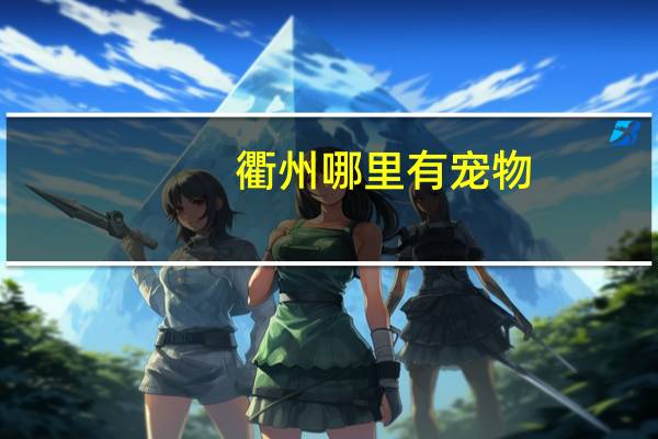 衢州哪里有宠物