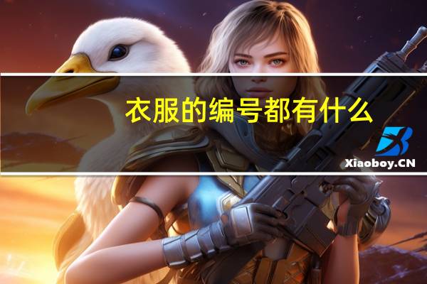 衣服的编号都有什么