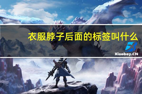 衣服脖子后面的标签叫什么