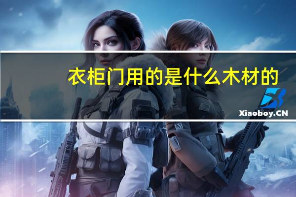 衣柜门用的是什么木材的