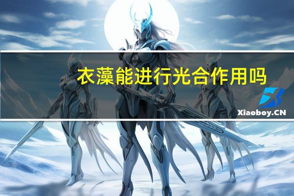衣藻能进行光合作用吗