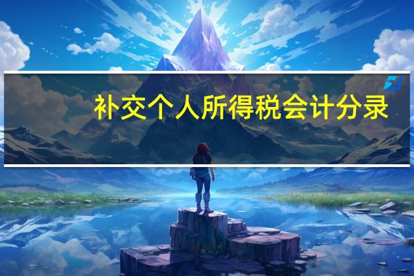 补交个人所得税会计分录