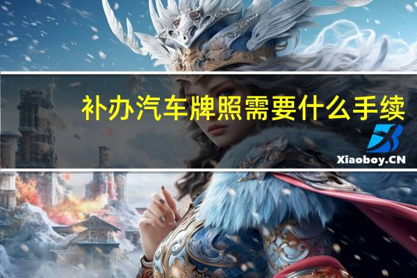 补办汽车牌照需要什么手续