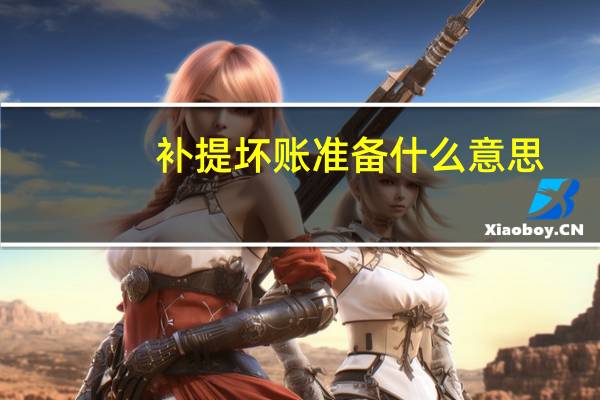 补提坏账准备什么意思