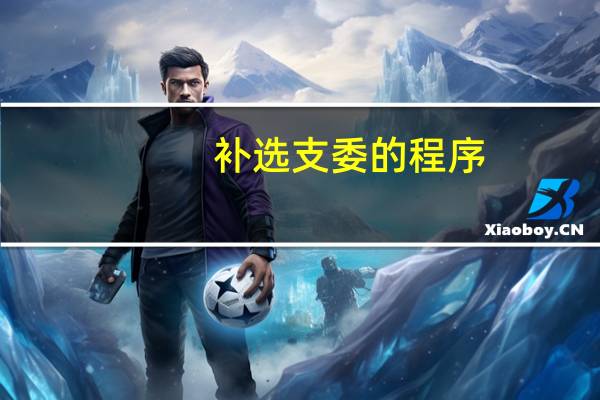 补选支委的程序