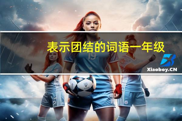 表示团结的词语一年级