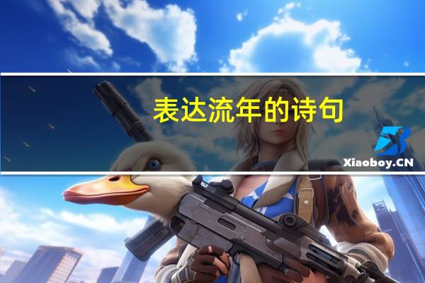 表达流年的诗句