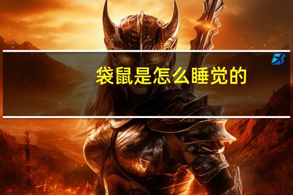 袋鼠是怎么睡觉的
