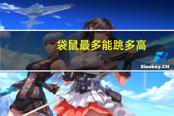 袋鼠最多能跳多高