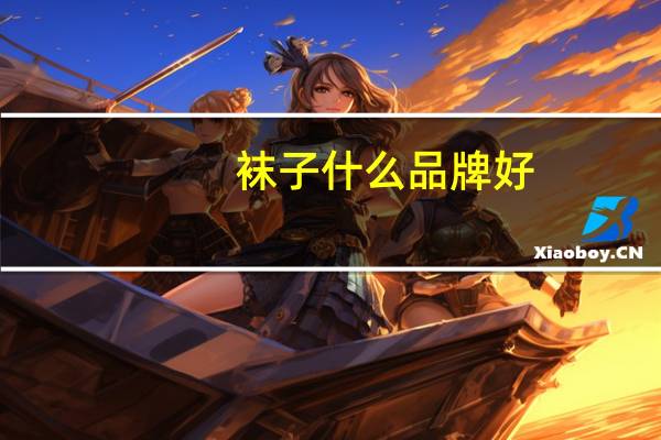 袜子什么品牌好