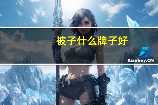 被子什么牌子好？