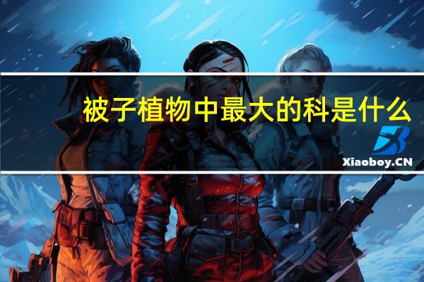 被子植物中最大的科是什么