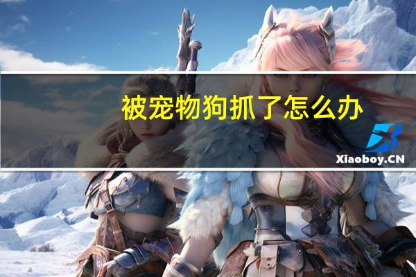 被宠物狗抓了怎么办