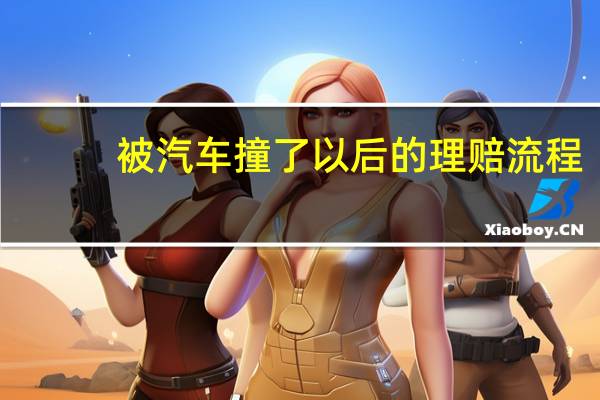 被汽车撞了以后的理赔流程