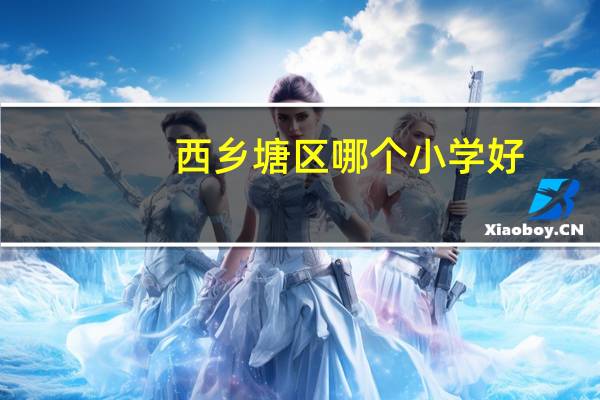 西乡塘区哪个小学好