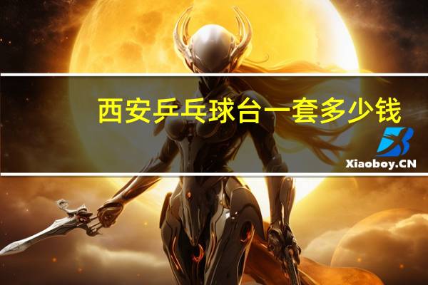 西安乒乓球台一套多少钱