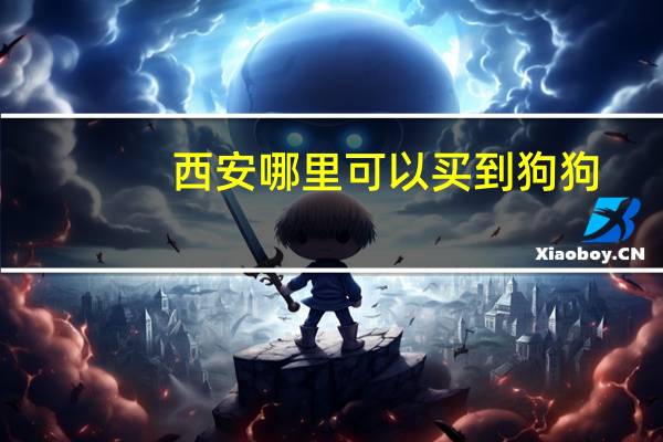 西安哪里可以买到狗狗