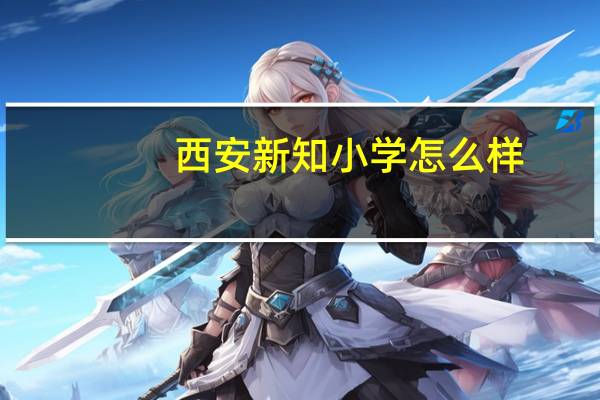 西安新知小学怎么样