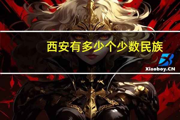 西安有多少个少数民族