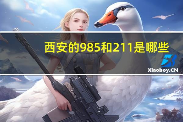 西安的985和211是哪些